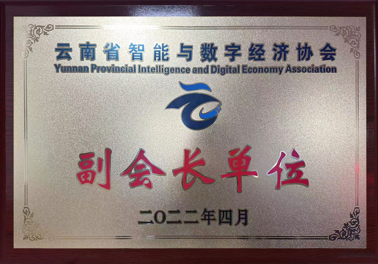 云南省智能与数字经济协会副会长单位